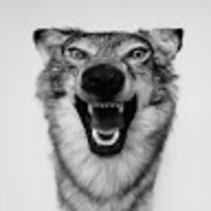 Meet your Posher, Marc